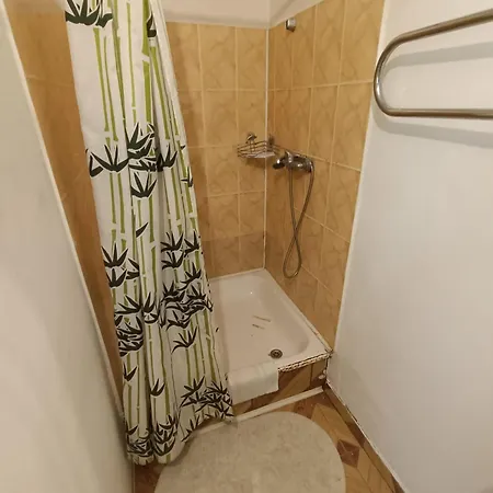 公寓 Sala 里加